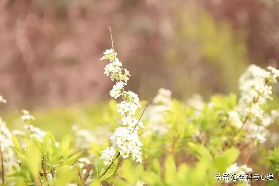 经常用到的百科知识你都知道了吗,百科常识总结大全