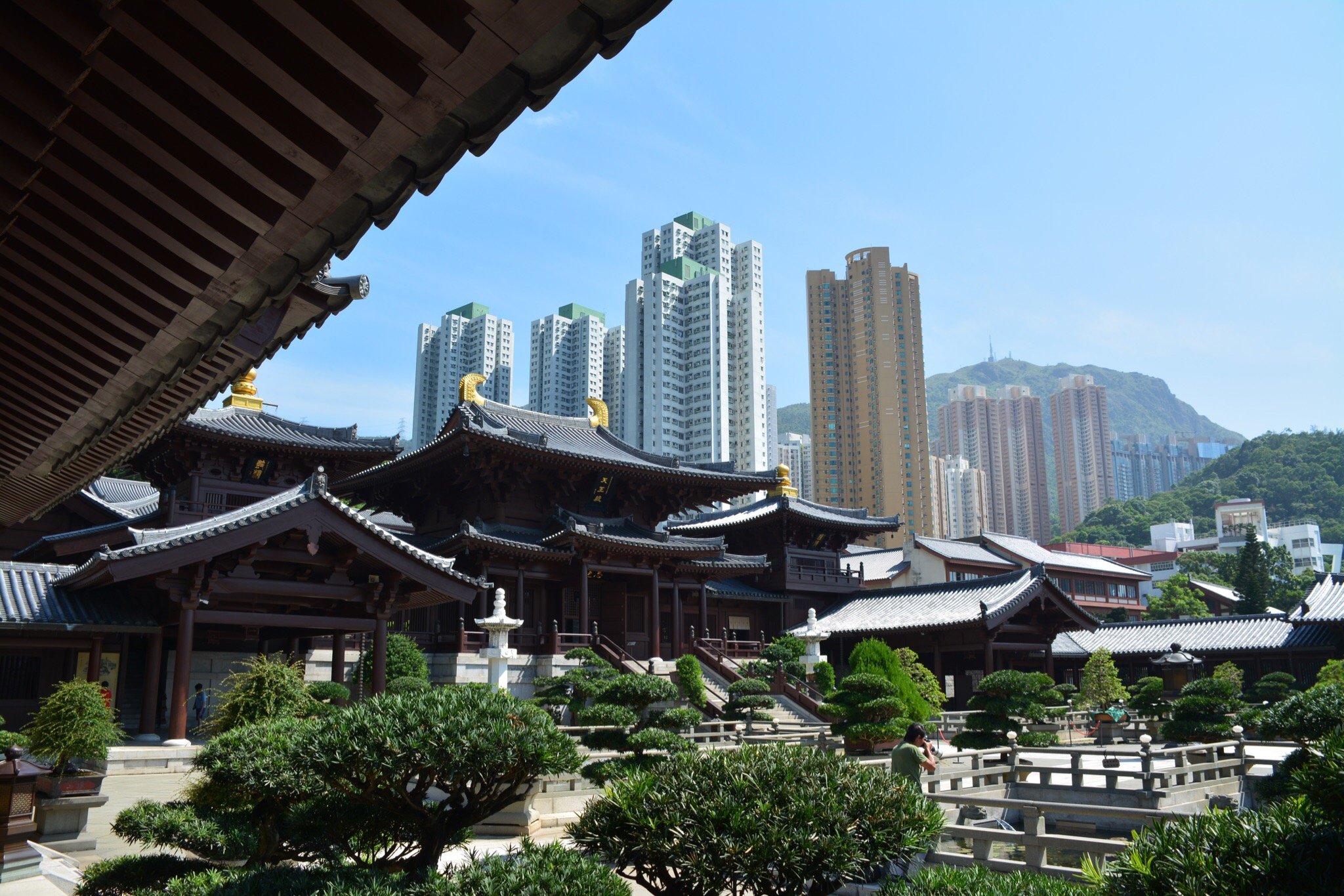 香港志莲净苑地图,香港志莲净苑好玩吗