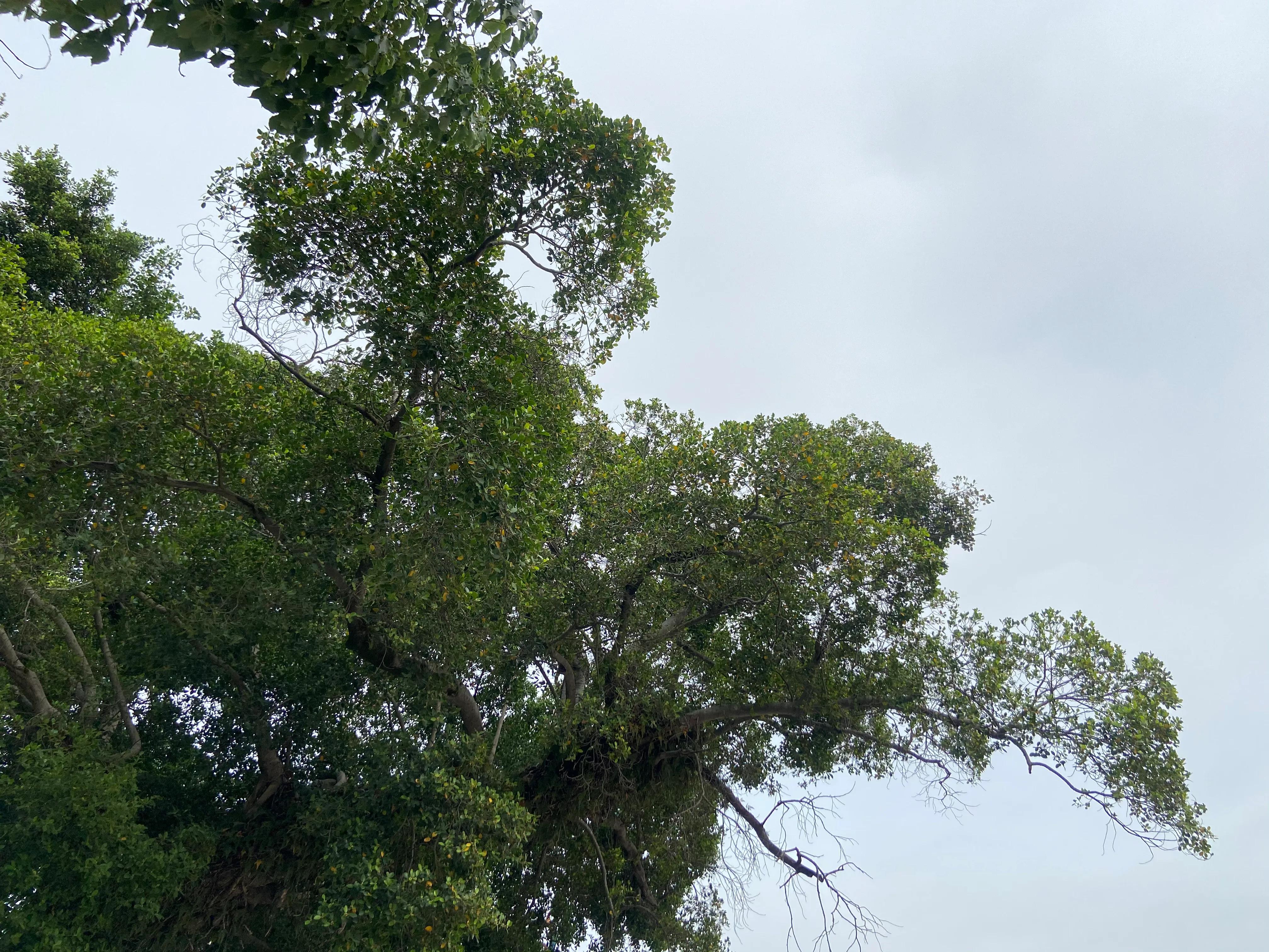 吃一堑长一智歌曲,吃一堑长一智的句子