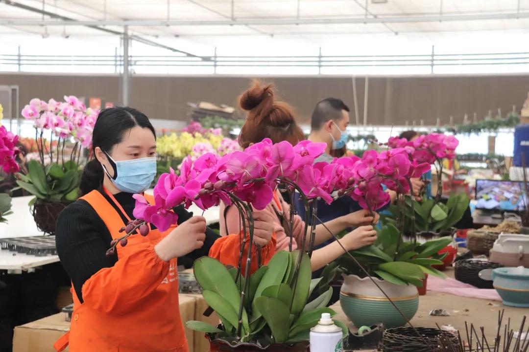 不只是卖花！春天花乐园2.0来了