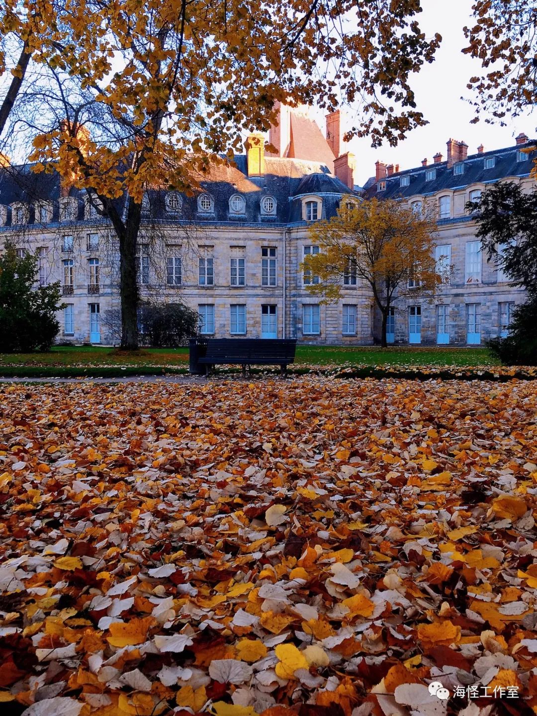 在法国留学的中国学生,在中国生活8年的法国小哥回国后