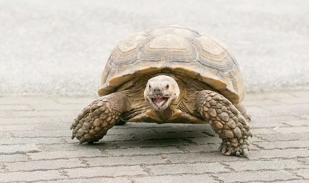 日本生态农业庄园,日本田园农场排行榜