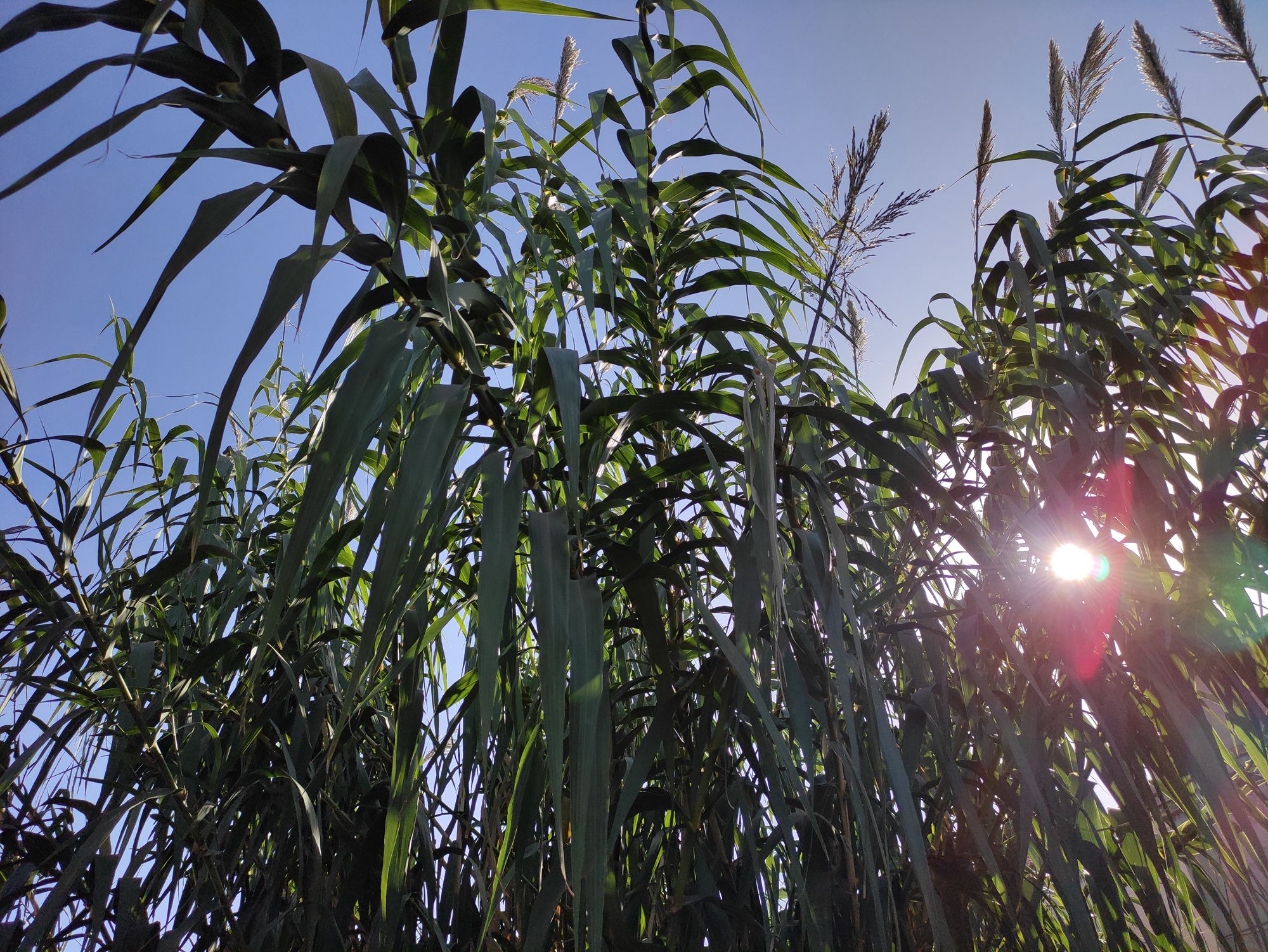 欣赏年画、邂逅大海、闲逛宜家，将生活过成诗与远方