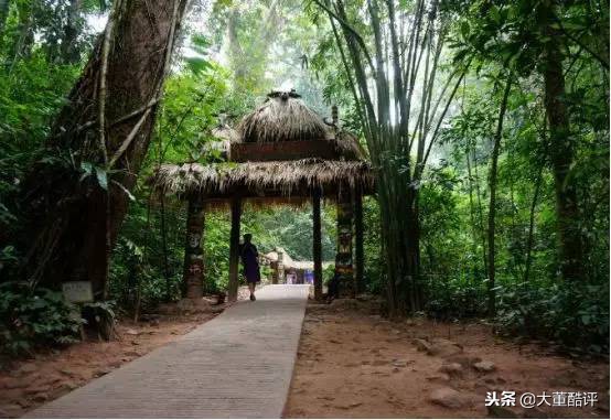 西双版纳人间仙境,西双版纳云海如人间仙境