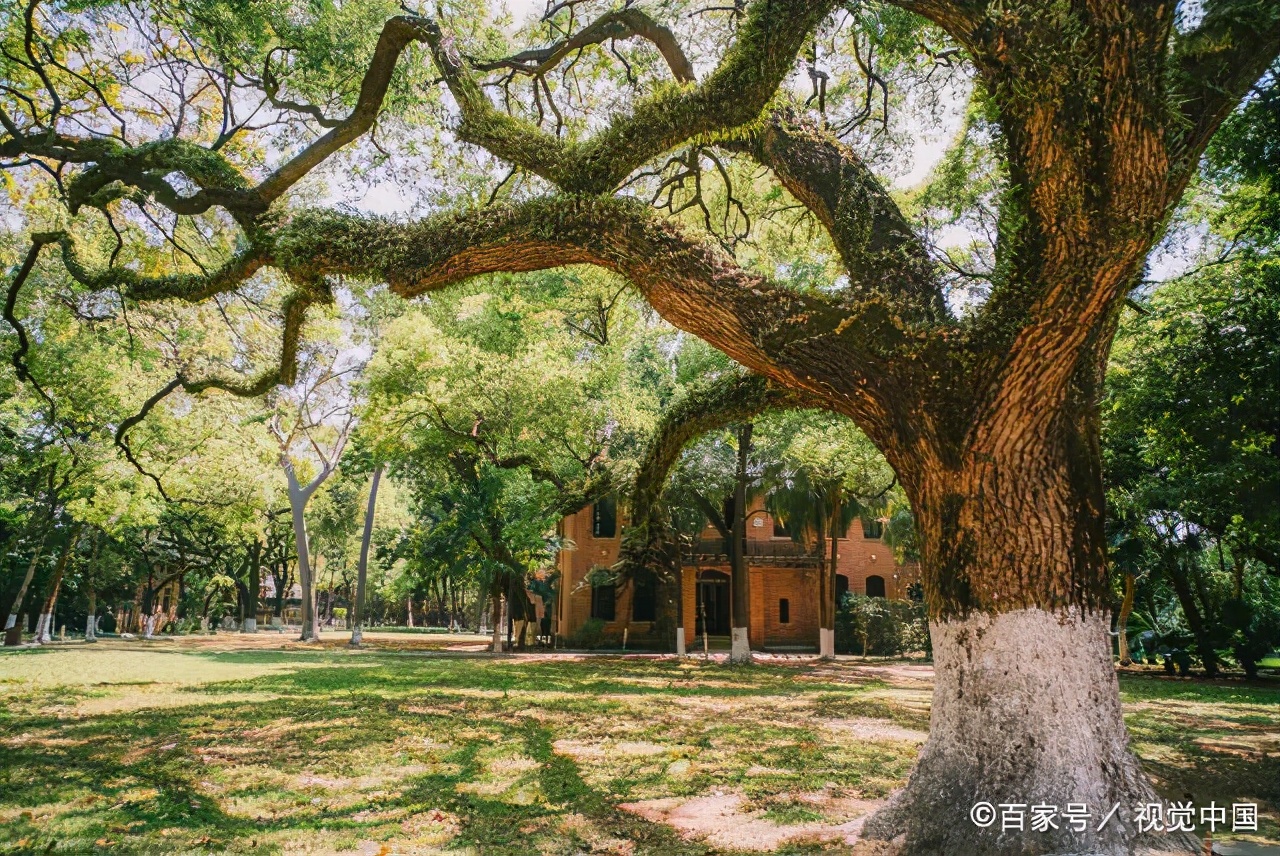 大学休学一年可以不回去吗,大学休学五年还有学籍能继续上吗