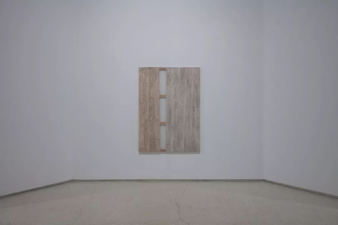 特稿|晓媛，小圆