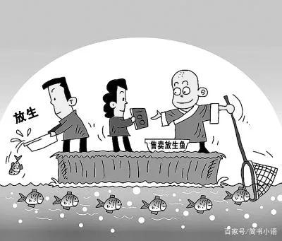 盘点那些离谱的放生行为,私自放生合法吗