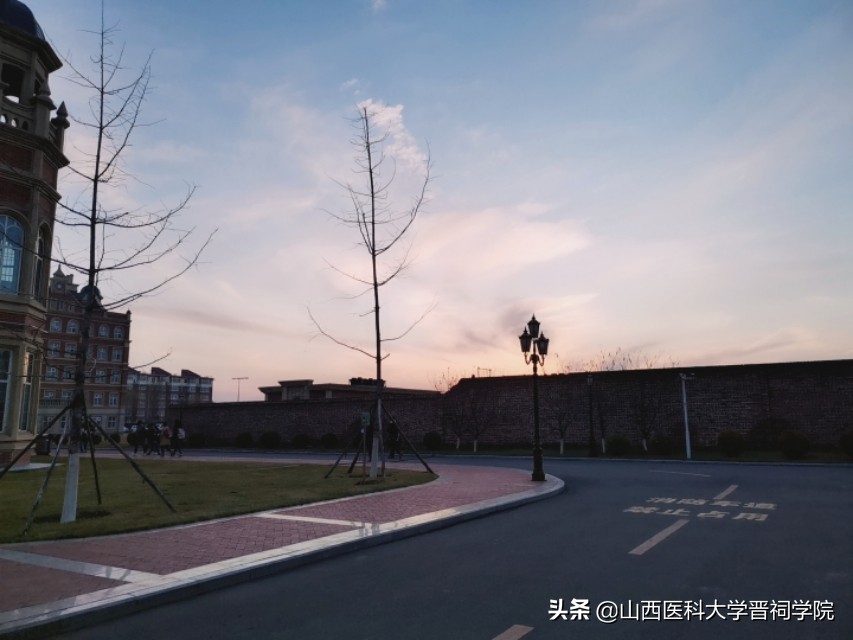 医学生土味情话攻略,医学生土味情话视频