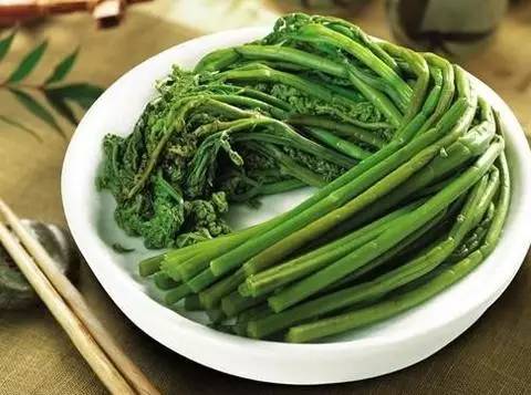 孕妇能吃蒸苟穗野菜么,孕妇哪些野菜不能吃