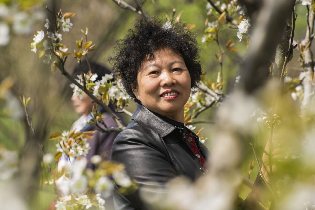 尼康70-300镜头对焦不清楚怎么办,尼康70-300不带防抖镜头怎么样