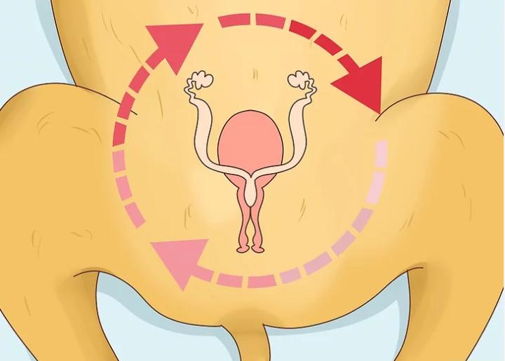 狗狗界的“破冰文化”，如何判断狗狗是否发情？