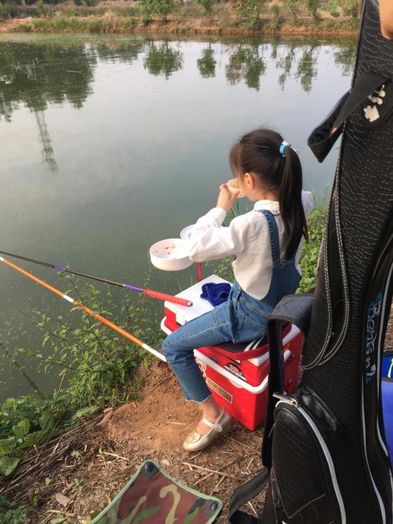 汀粉二代出征，神鹤轻强硬喜获佳绩