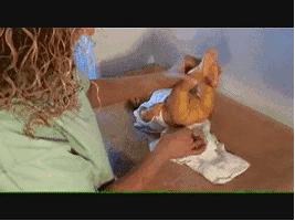 给宝宝换尿不湿的方法,给宝宝换尿不湿的正确方式