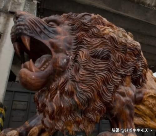 东方雄狮出售价格,300万不卖的雄狮根雕