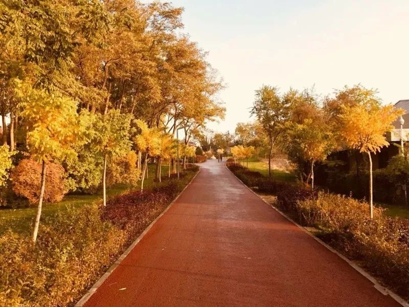 美爆了！让全世界听到，我的名字叫白银！！！