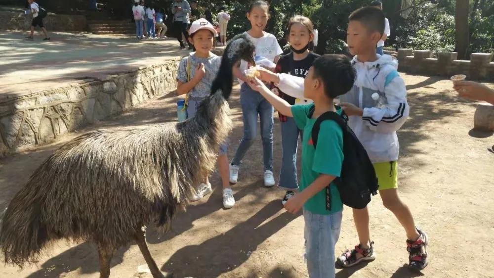 青少年暑期军事夏令营营地,五天四夜军事夏令营你准备好了吗