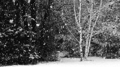 夏季网眼皮鞋脏了怎么擦,如何清理皮鞋褶皱的污渍