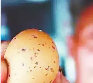 都说鸡蛋是发物是真的吗,鸡蛋怎样吃好消化易吸收营养好