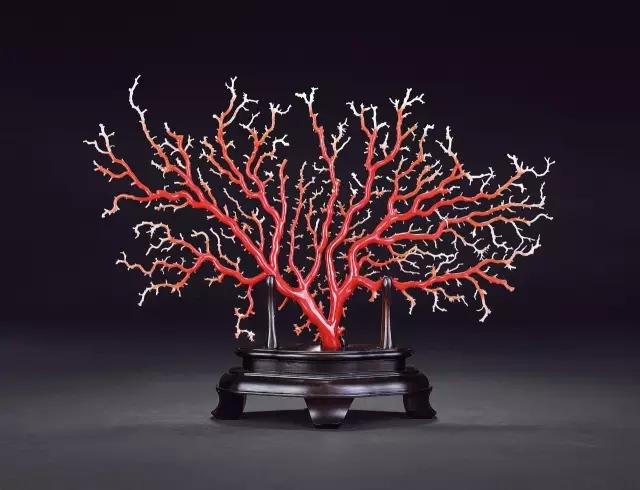 珊瑚越戴越红越好吗,戴珊瑚需要关注什么