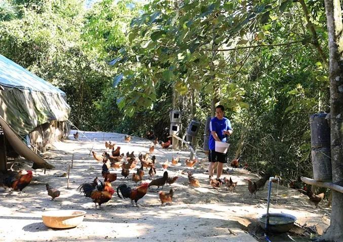 喻文波的传奇人生,喻文波彩虹岛