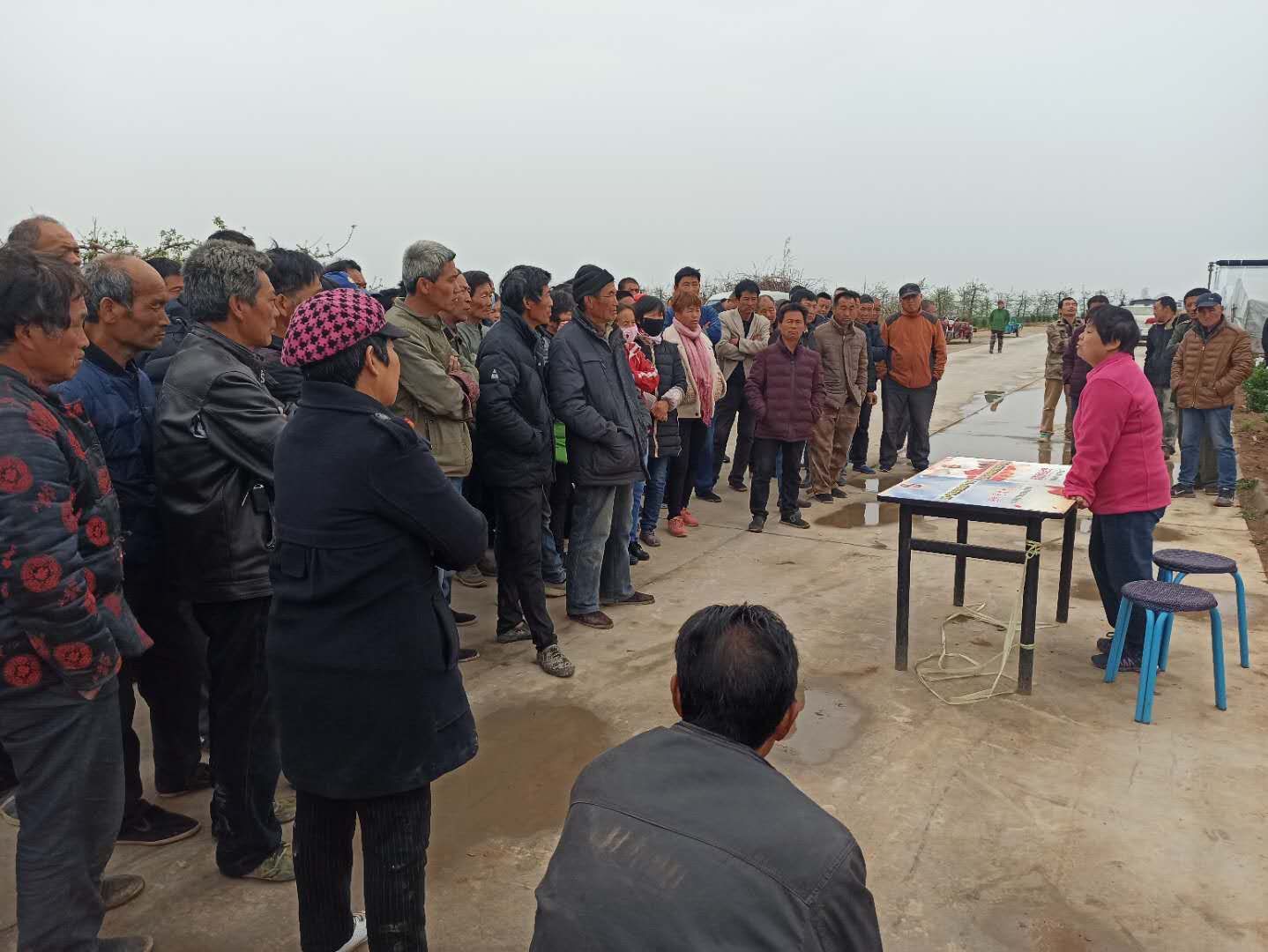 渭南大荔县大风,大荔大风农民自救