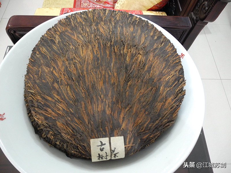 在远隔福鼎千里的大学生创业园，我们见识和品赏了福鼎白茶