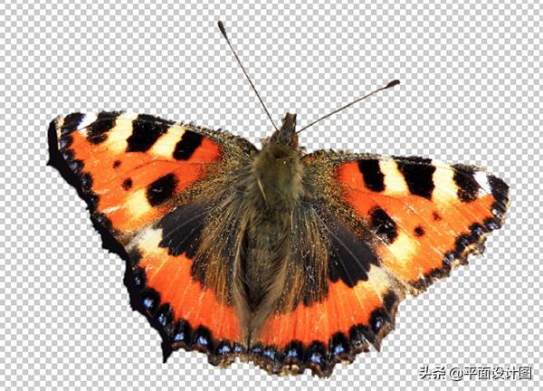 入门也要学的蒙版三大技巧,蒙版详细教程photoshop