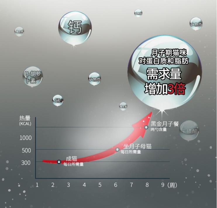 猫咪产后喝什么汤下奶,猫咪奶水不够用什么汤最好