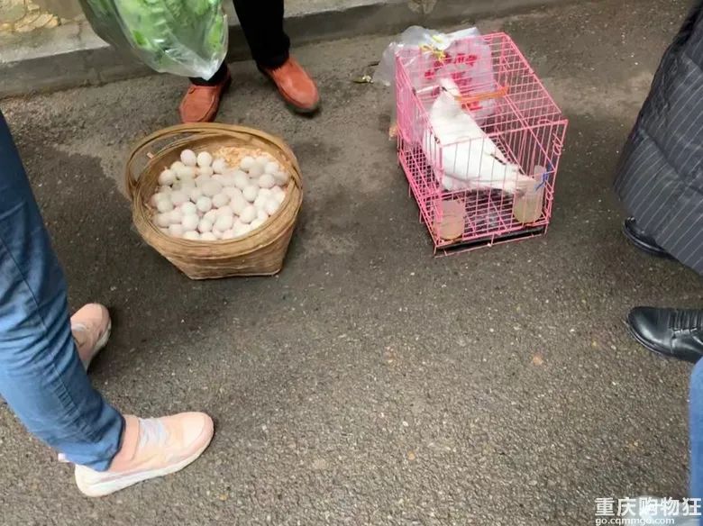 大学城虎溪赶场在哪里赶,重庆大学城虎溪还在赶场没有