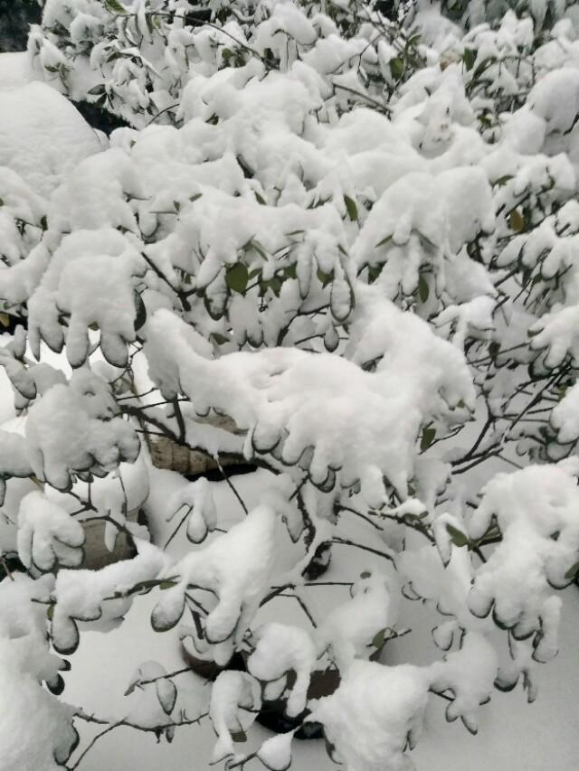 2018年辛苦了,2018辛苦了致自己