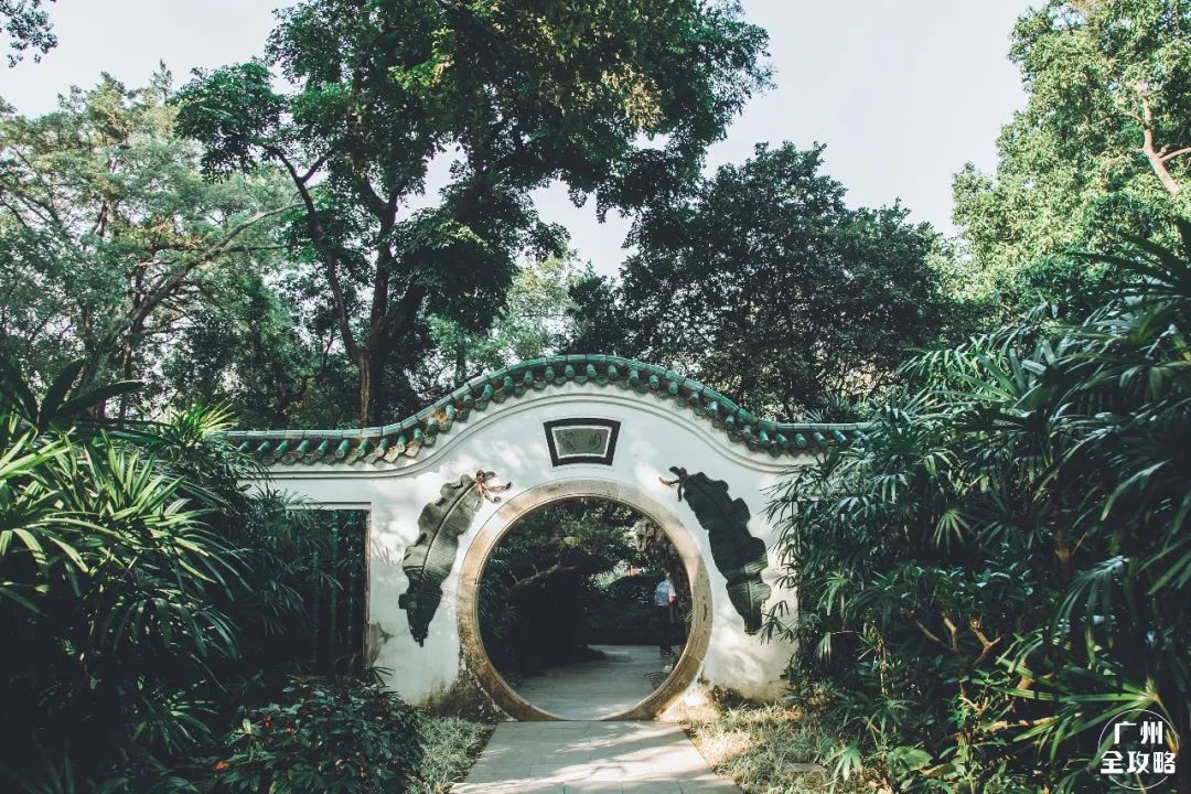 宝藏新公园周末好去处快来打卡,必打卡的宝藏公园