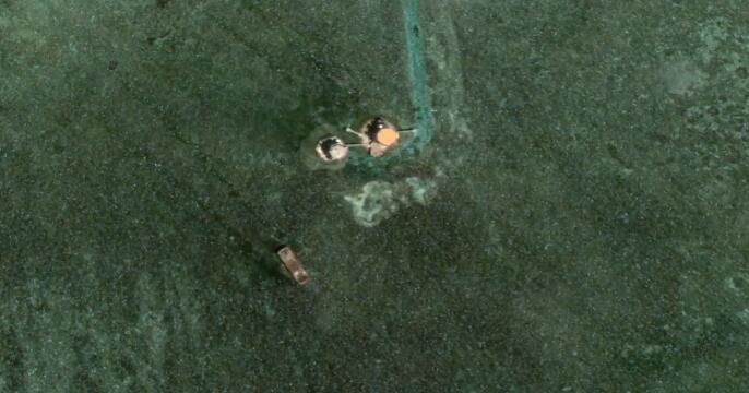 柏礁的价值,柏礁价值有多大