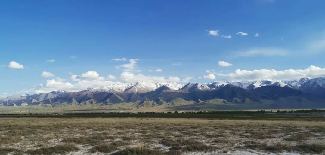 巴里坤旅途,巴里坤采风