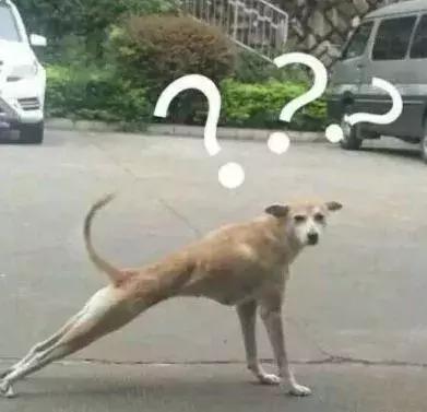 医生有点皮,医生很皮