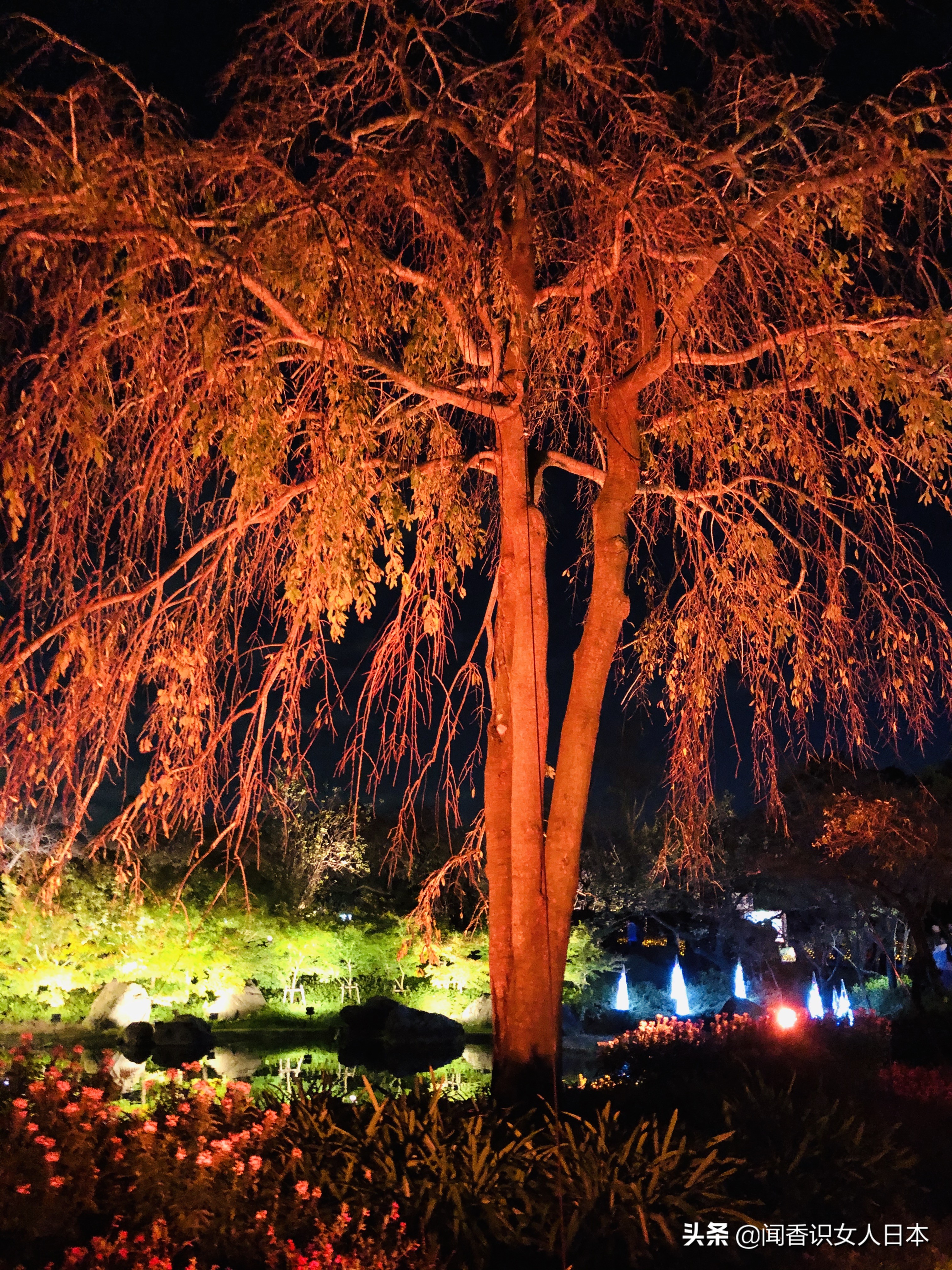 日本最美夜景,日本最美水上光影隧道