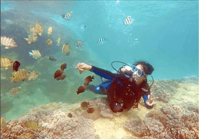 晚上的海棠湾,海棠湾真的很美