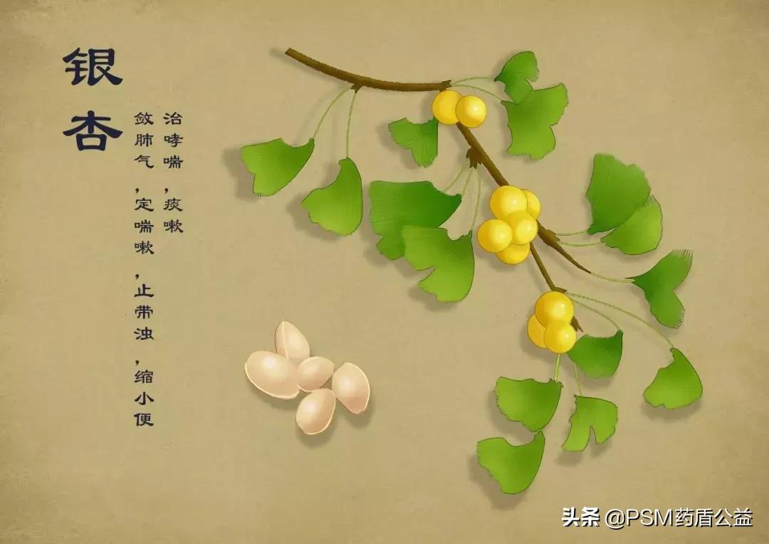 春暖花开手绘视频,春暖花开中药贴画