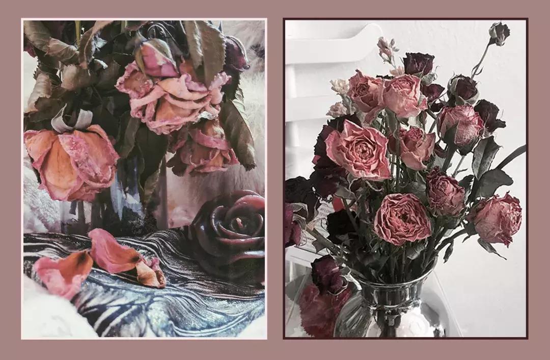 杨幂色和大表姐色口红哪个好看,杨幂用的枫叶色是什么口红