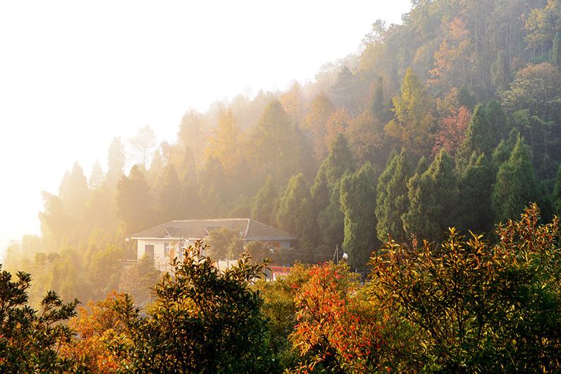 重庆太大了！重庆的最东、最南、最西、最北，分别是哪里？