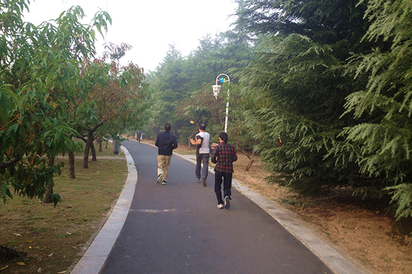 体检显示肝颗粒稍增粗,体检肝回声增粗是乙肝吗