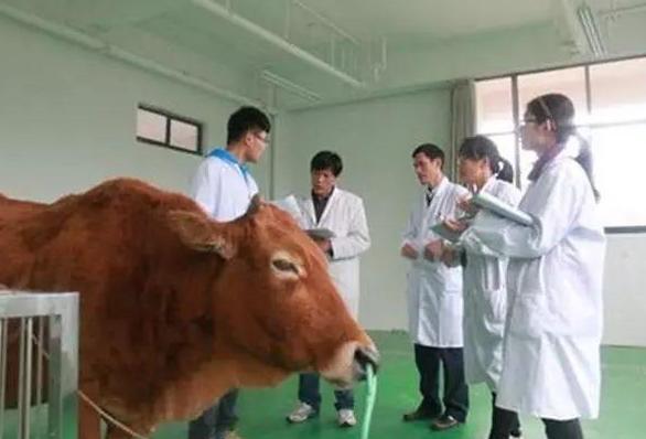 大学冷门专业但前景好,冷门专业却很好就业的专业