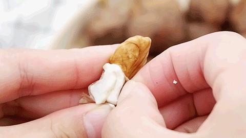 沧州市青皮核桃,甘肃买青皮核桃