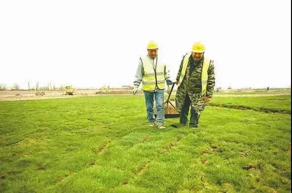 盐城新规划将建一个中心城市,盐城城南南海公园位置