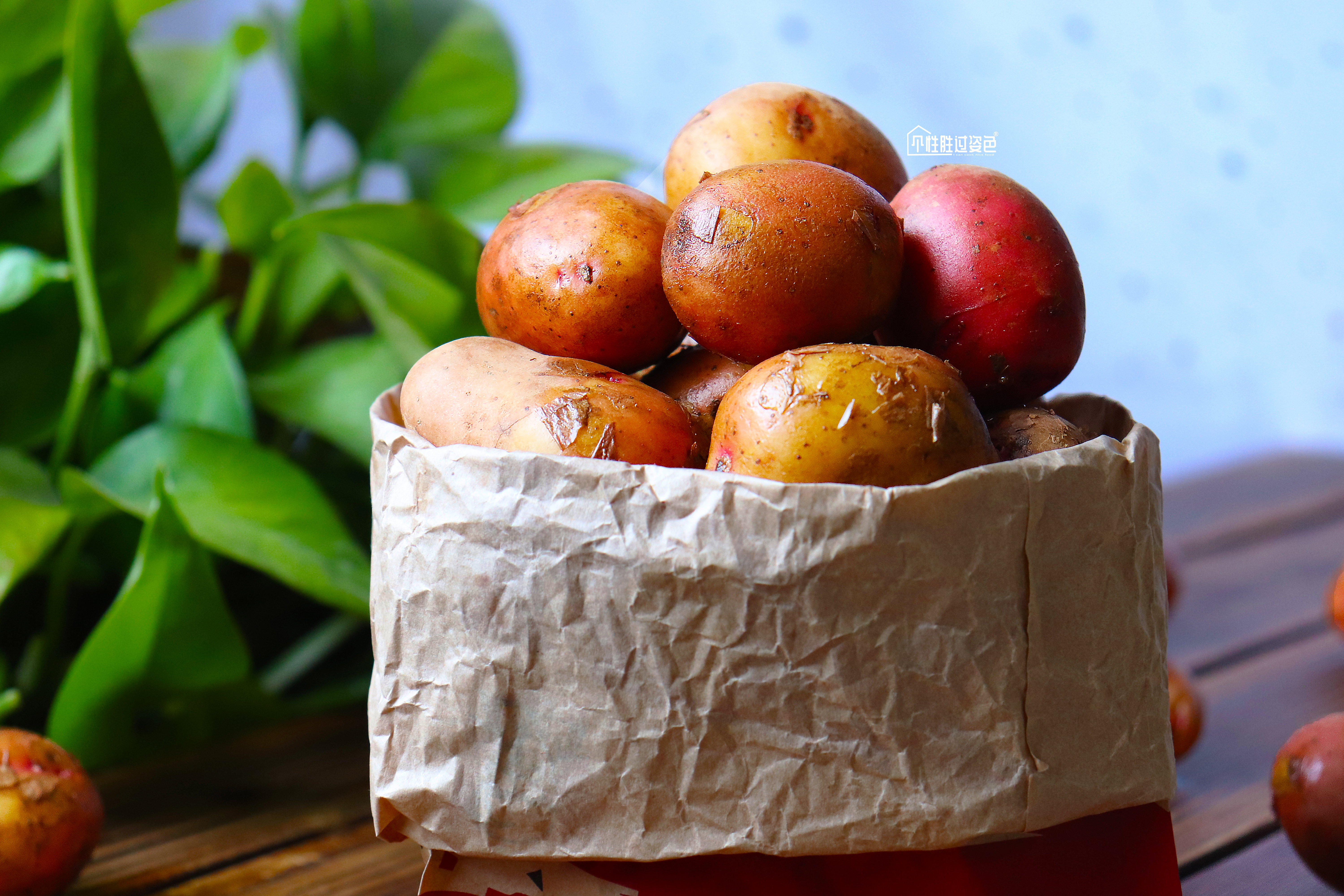 恩施炕土豆的做法,地摊恩施小土豆怎么做