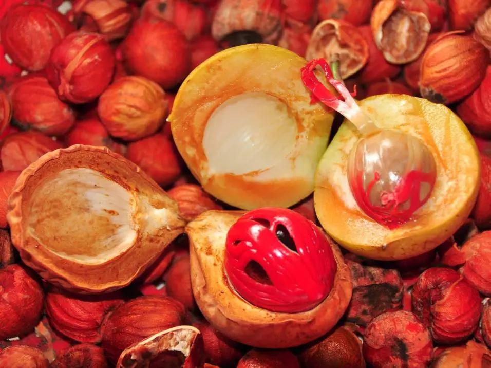 槟城土特产店推荐,槟城有哪些水果特产