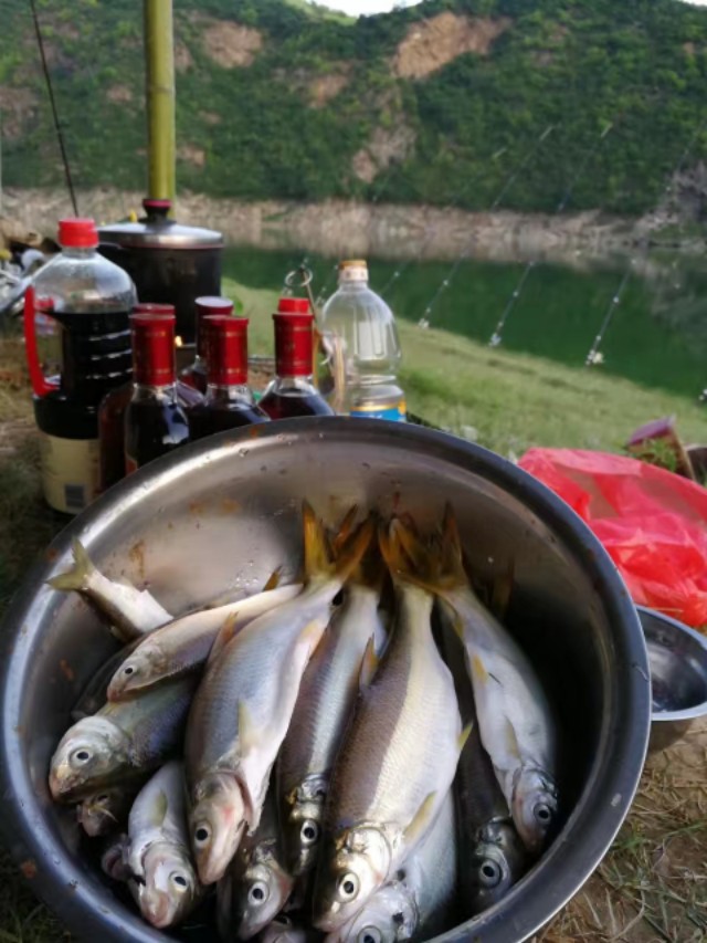 找个爱钓鱼的人有什么好处,找一个爱钓鱼的人