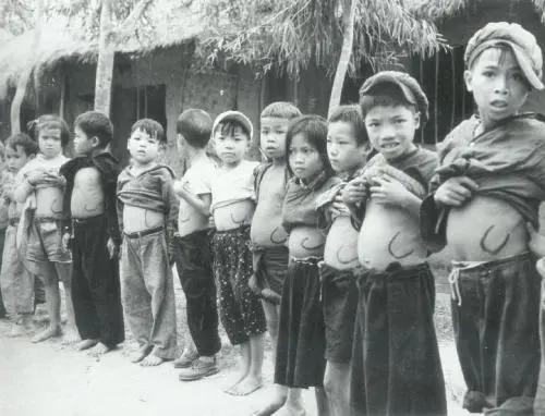 让美军损失惨重,威胁2亿人生命安全!中国神药如何攻克千年瘟疫