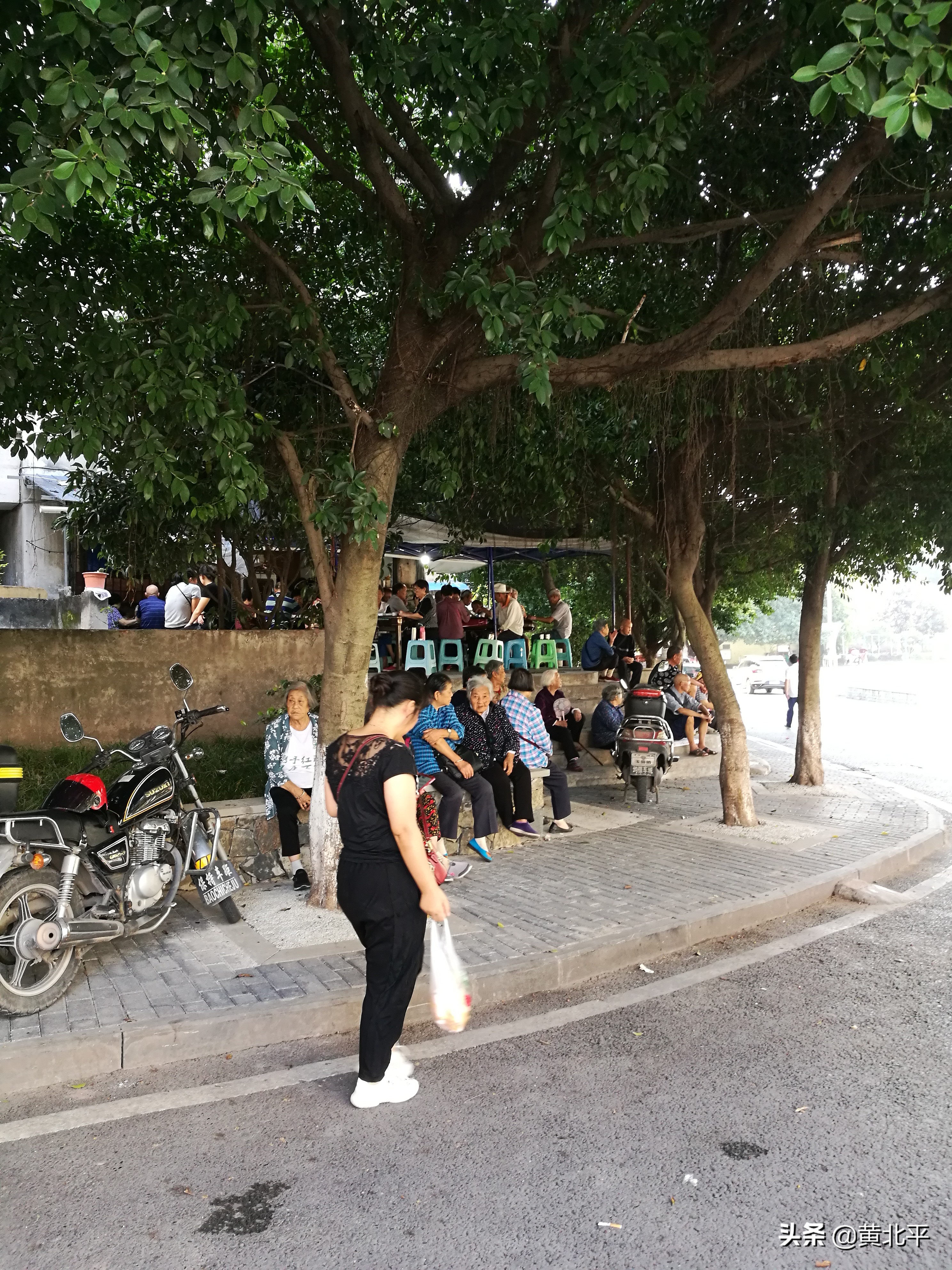 重庆市九龙坡区西彭镇规划,重庆市九龙坡区西彭镇人口