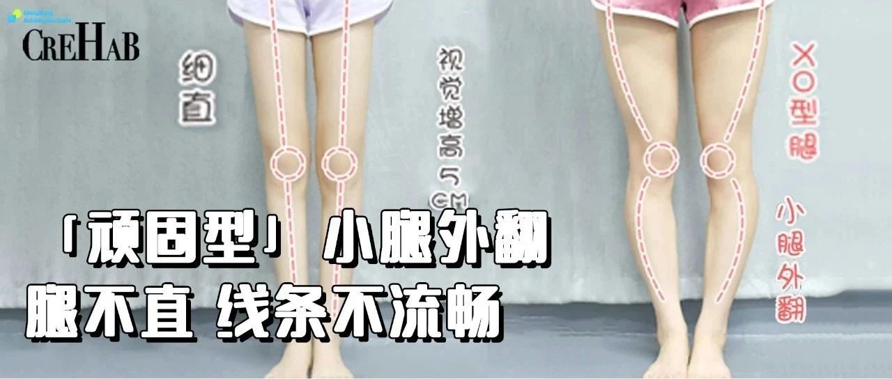 练腿最好的6个动作瘦腿力量训练,改善腿型小腿外翻锻炼