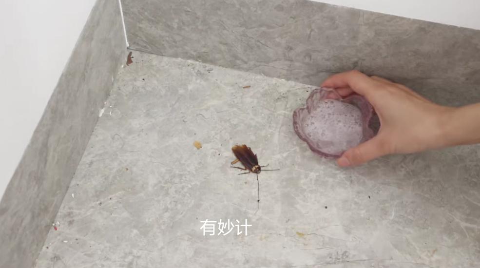 洗衣粉和白糖放在一起，解决家庭大难题，简单又实用，快学起来